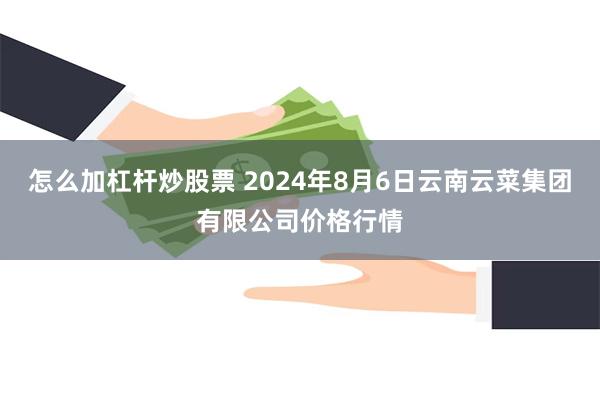 怎么加杠杆炒股票 2024年8月6日云南云菜集团有限公司价格行情