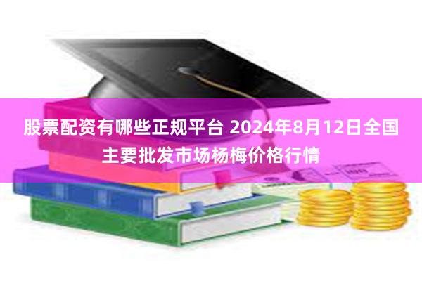 股票配资有哪些正规平台 2024年8月12日全国主要批发市场杨梅价格行情