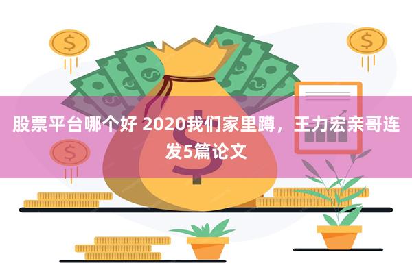 股票平台哪个好 2020我们家里蹲，王力宏亲哥连发5篇论文