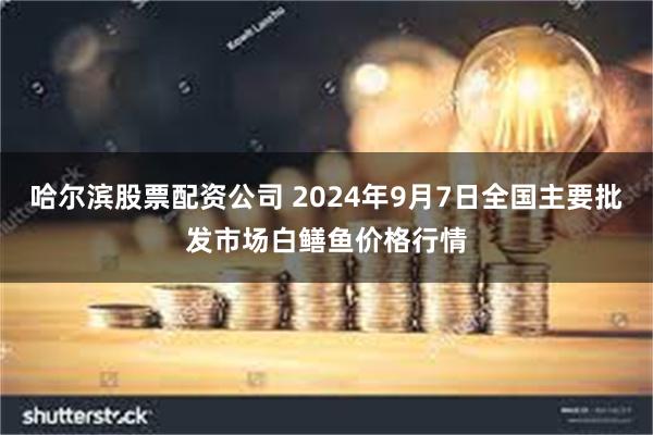 哈尔滨股票配资公司 2024年9月7日全国主要批发市场白鳝鱼价格行情