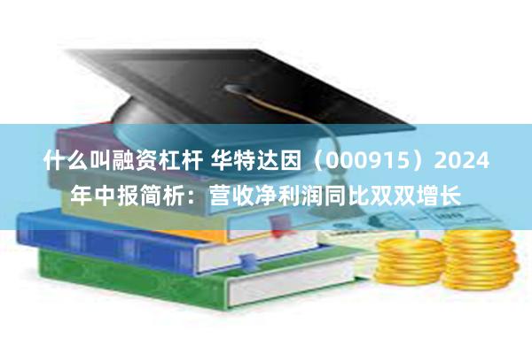 什么叫融资杠杆 华特达因（000915）2024年中报简析：营收净利润同比双双增长