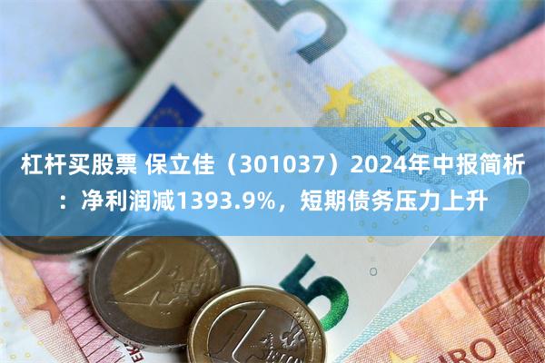 杠杆买股票 保立佳（301037）2024年中报简析：净利润减1393.9%，短期债务压力上升