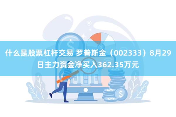 什么是股票杠杆交易 罗普斯金（002333）8月29日主力资金净买入362.35万元