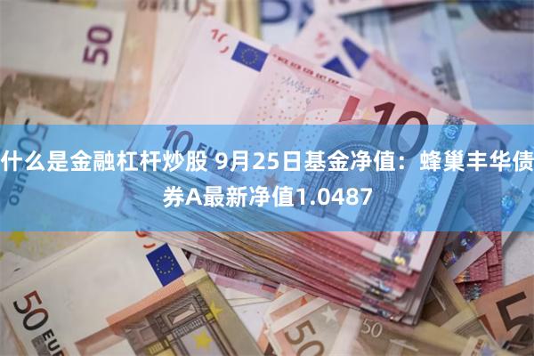 什么是金融杠杆炒股 9月25日基金净值：蜂巢丰华债券A最新净值1.0487