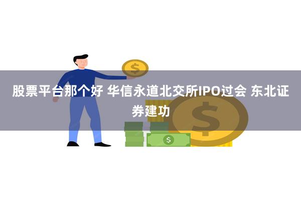 股票平台那个好 华信永道北交所IPO过会 东北证券建功