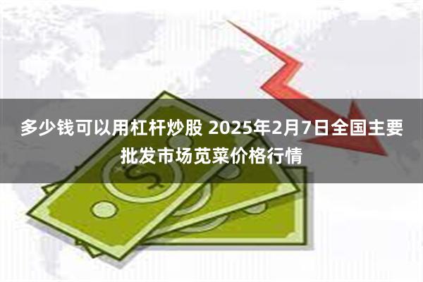 多少钱可以用杠杆炒股 2025年2月7日全国主要批发市场苋菜价格行情