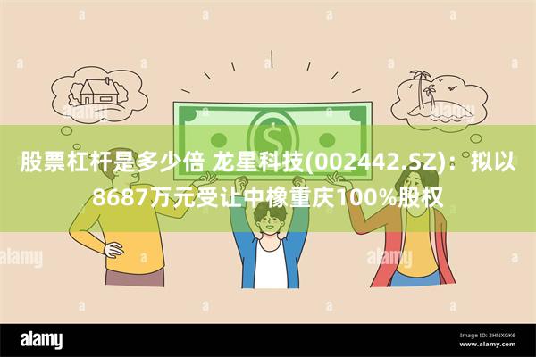 股票杠杆是多少倍 龙星科技(002442.SZ)：拟以8687万元受让中橡重庆100%股权